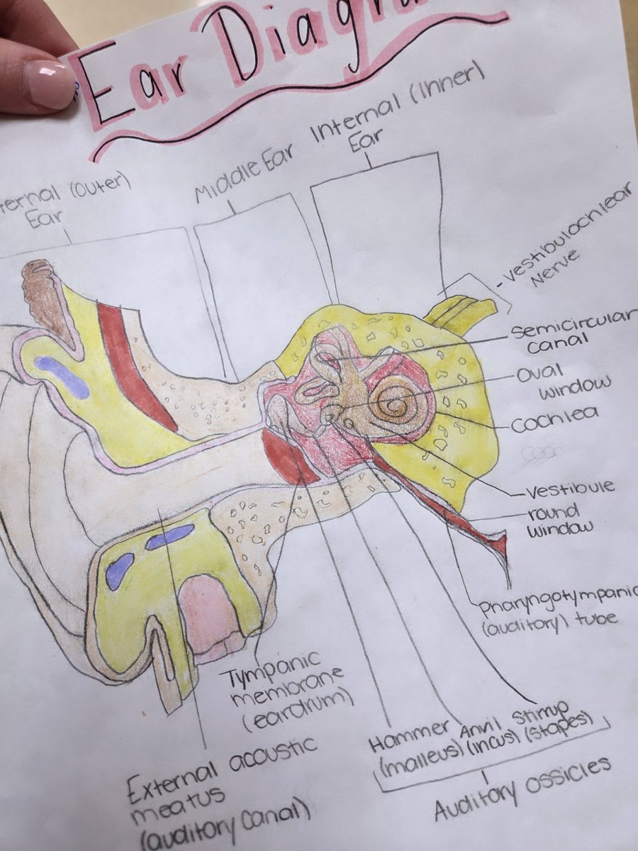 EHS Life Sciences - Rachel Hauck tweet media