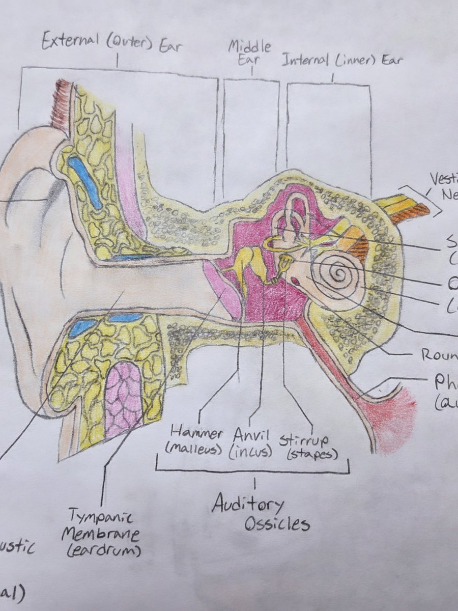 EHS Life Sciences - Rachel Hauck tweet media