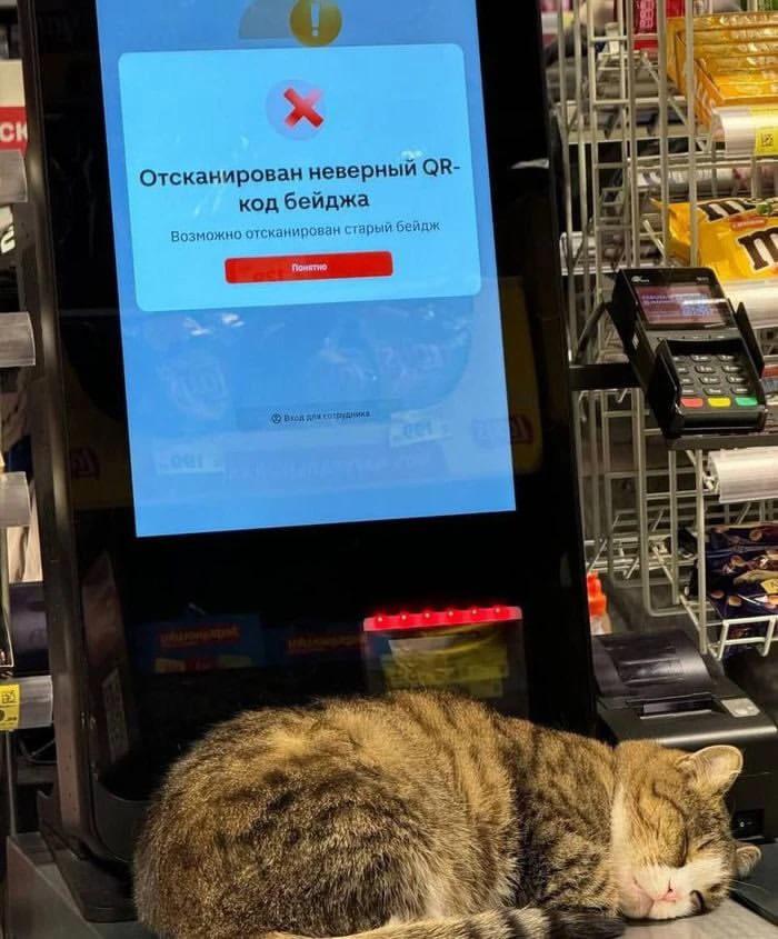 А вот и Счастье привалило tweet media