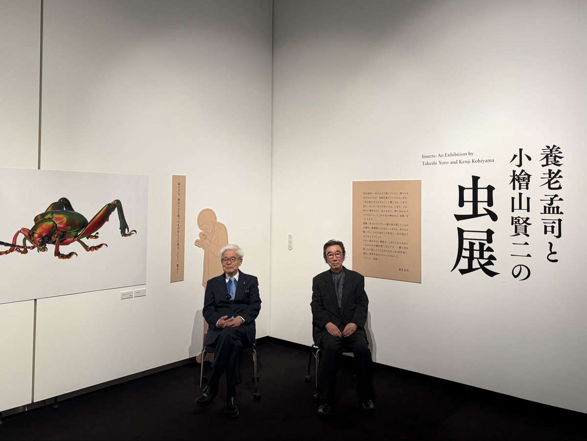 東　えりか tweet media