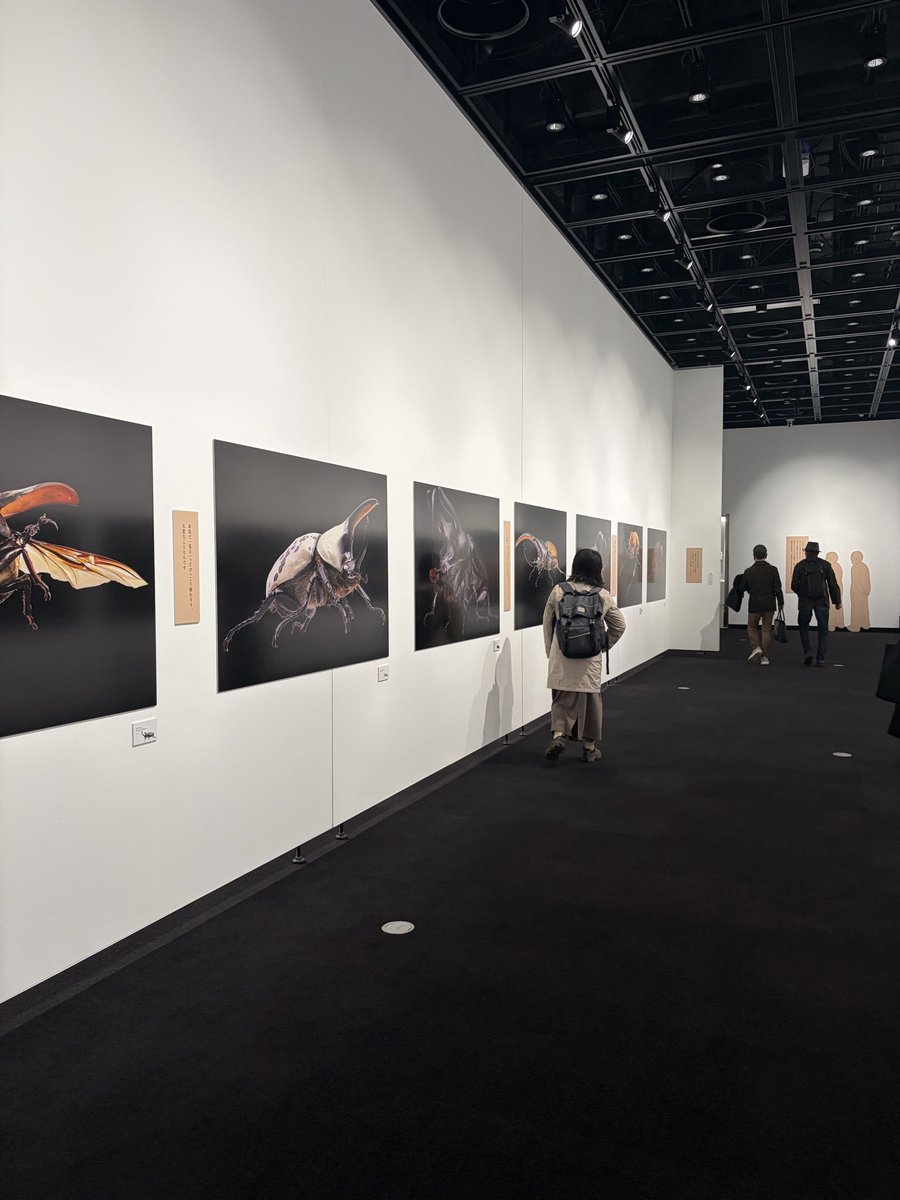 東　えりか tweet media