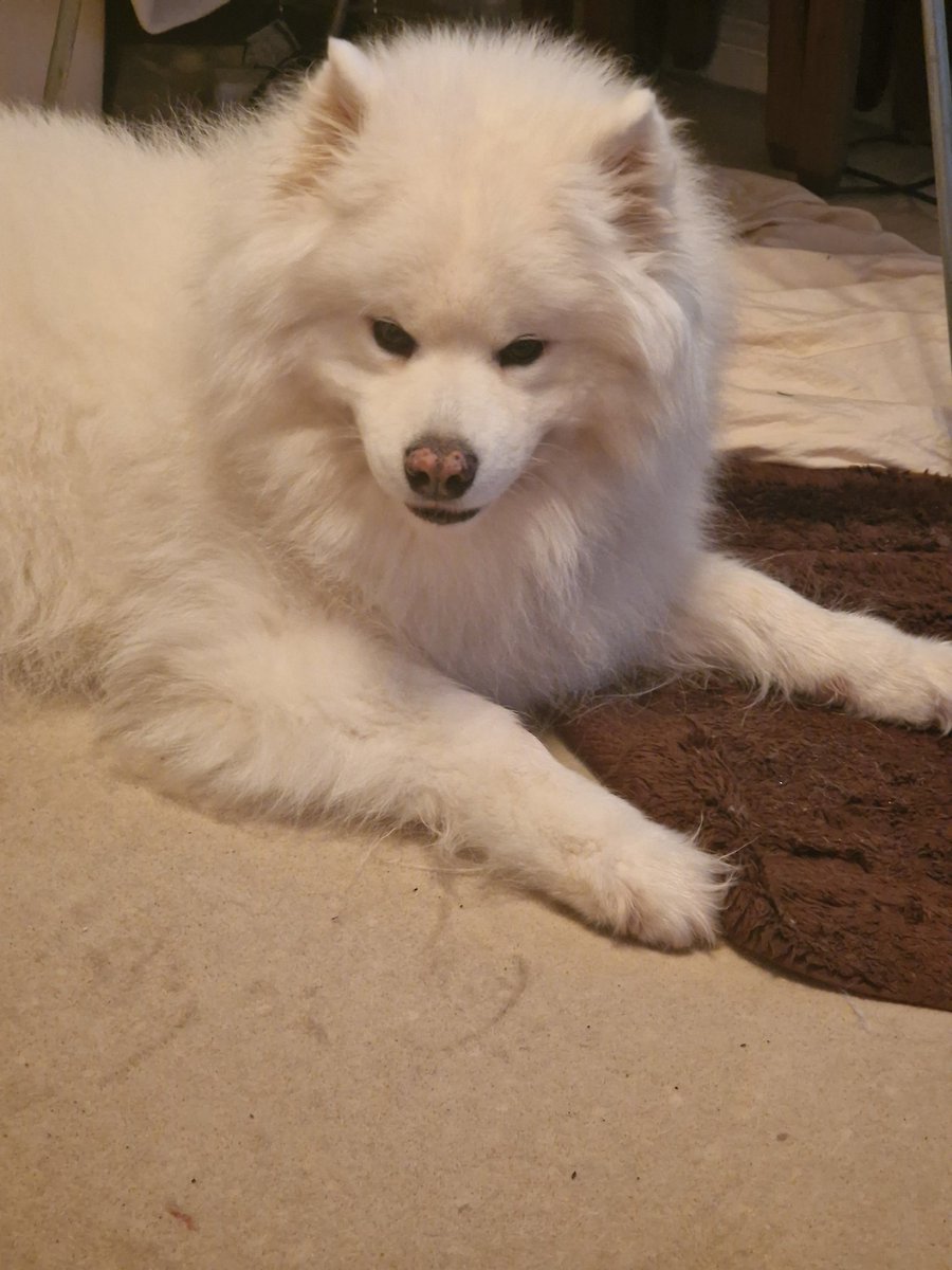 sunita thind tweet media