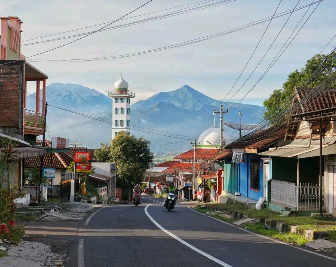 :.:..:::...:.: tweet media