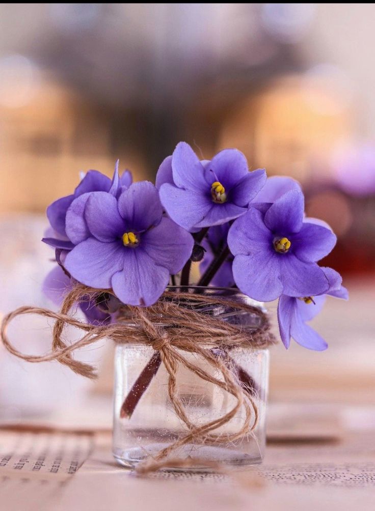 CasaLettori's tweet image. Un amore è amore anche se non ha domani 

Lucio Dalla

#CasaLettori

#20marzo