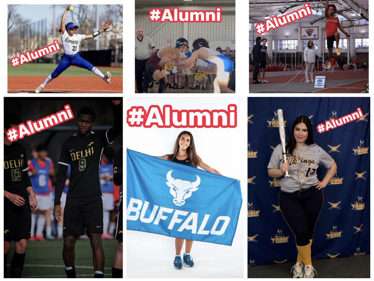 Mr. Austin Goldberg tweet media