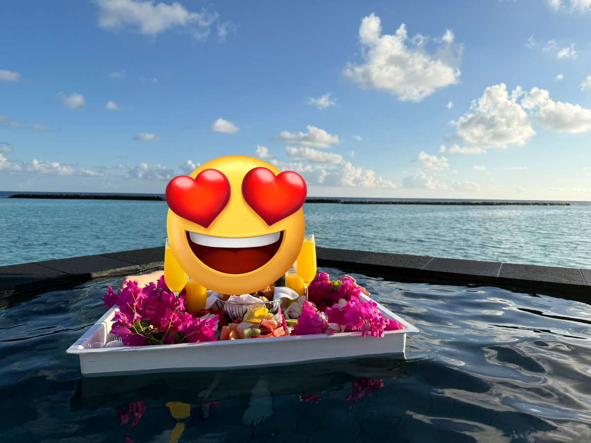 XeonTanGames's tweet photo. マレーシア帰ってきた！

モルディブ旅行ですが、中盤以降…日焼けで全身重度な火傷みたいになりまさかの部屋から出れなくなるという大事故w

ちゃんと海入れたのは、ダイビングの初日と2日目くらい。あと死んでた。勿体なすぎる、、、😭

年内にリベンジしたい…悔しすぎる…！
次は、ジンベエザメを見に！

PCも修理が終わり、引き取りに行ってきて復活ー！！