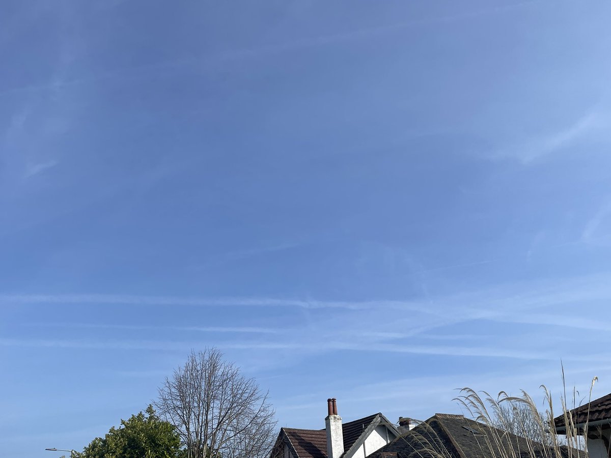 Nae Comment tweet media