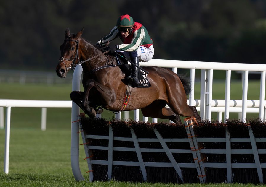 Racing Tips tweet media