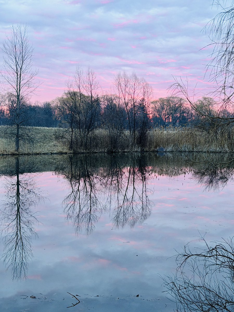 Jeff Nasca tweet media