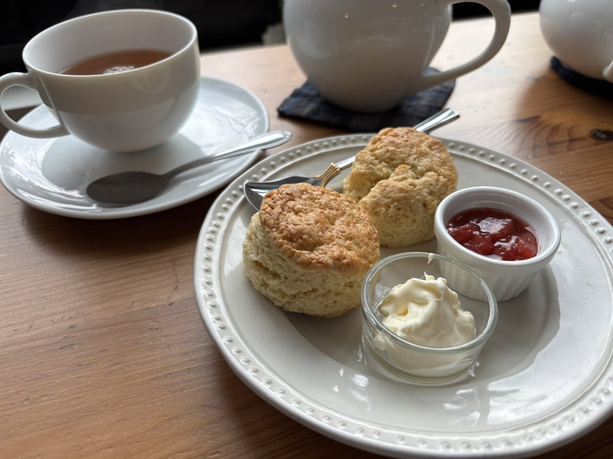 もりした@ティアこ25a tweet media