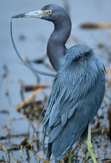 Hamad 🇰🇼 tweet media