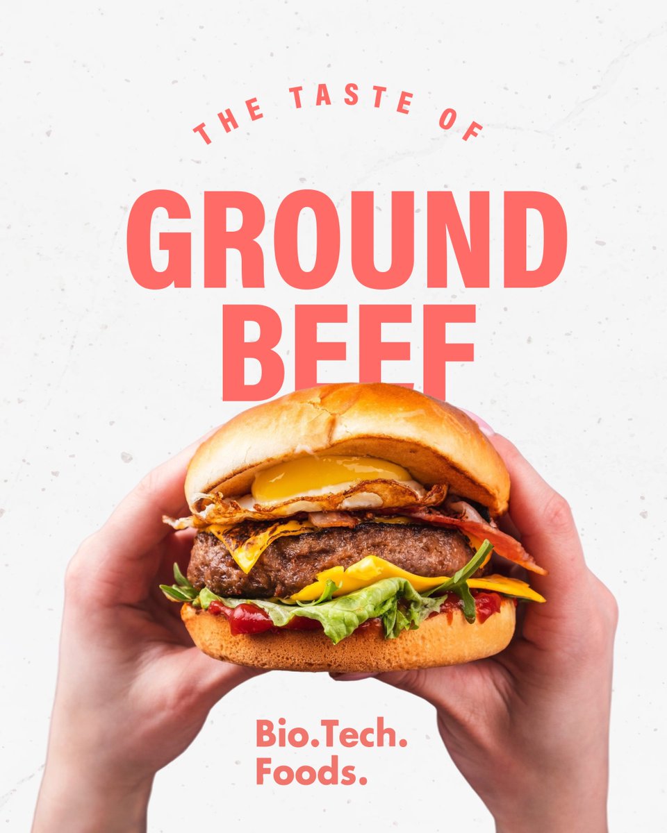 BioTech Foods tweet media