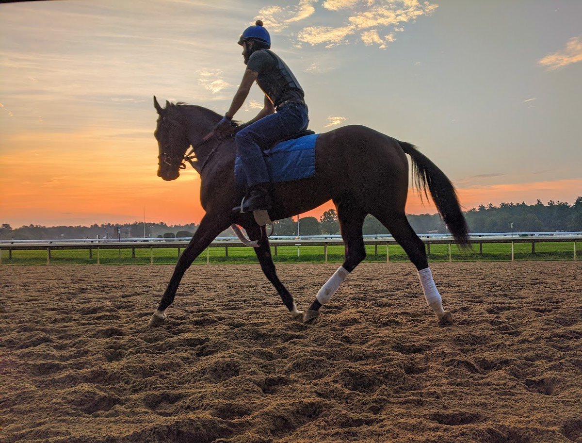 Zenyatta John tweet media