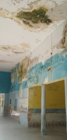 Jose Gregorio Martinez Briñez tweet media