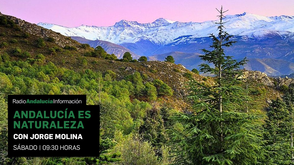 Radio Andalucía Información tweet media