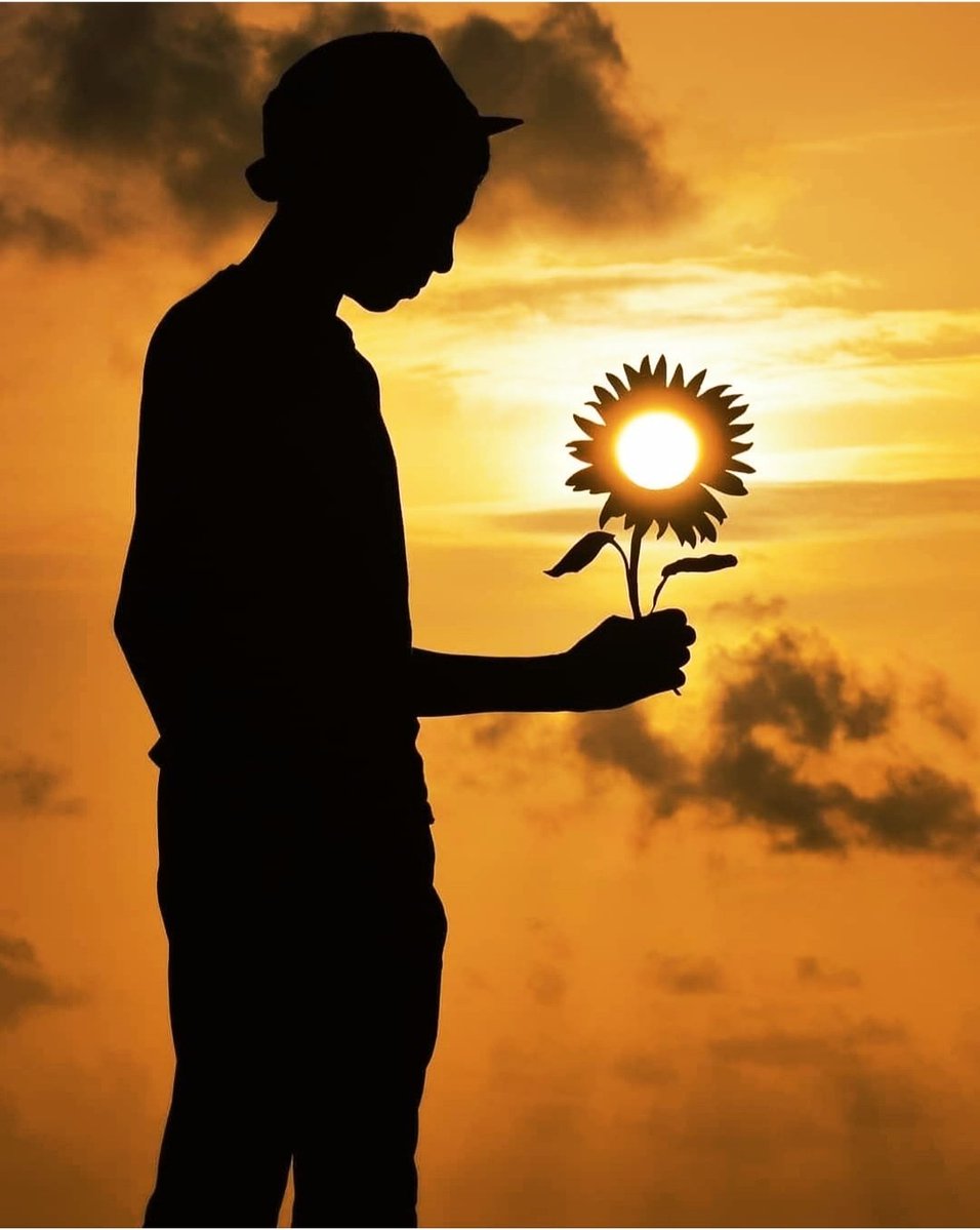 Azores.INK🦭 tweet media