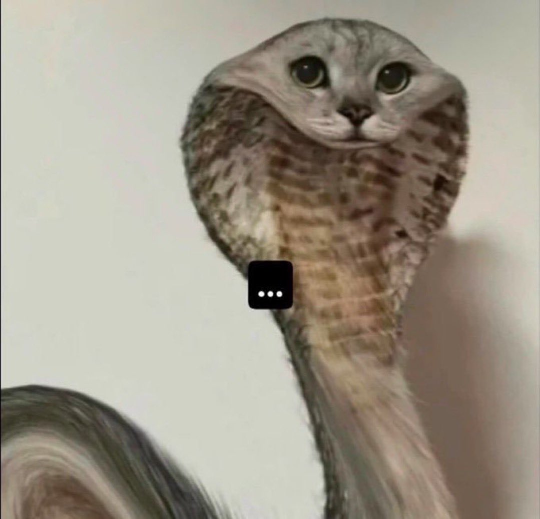 🐉✨️ Rique tweet media