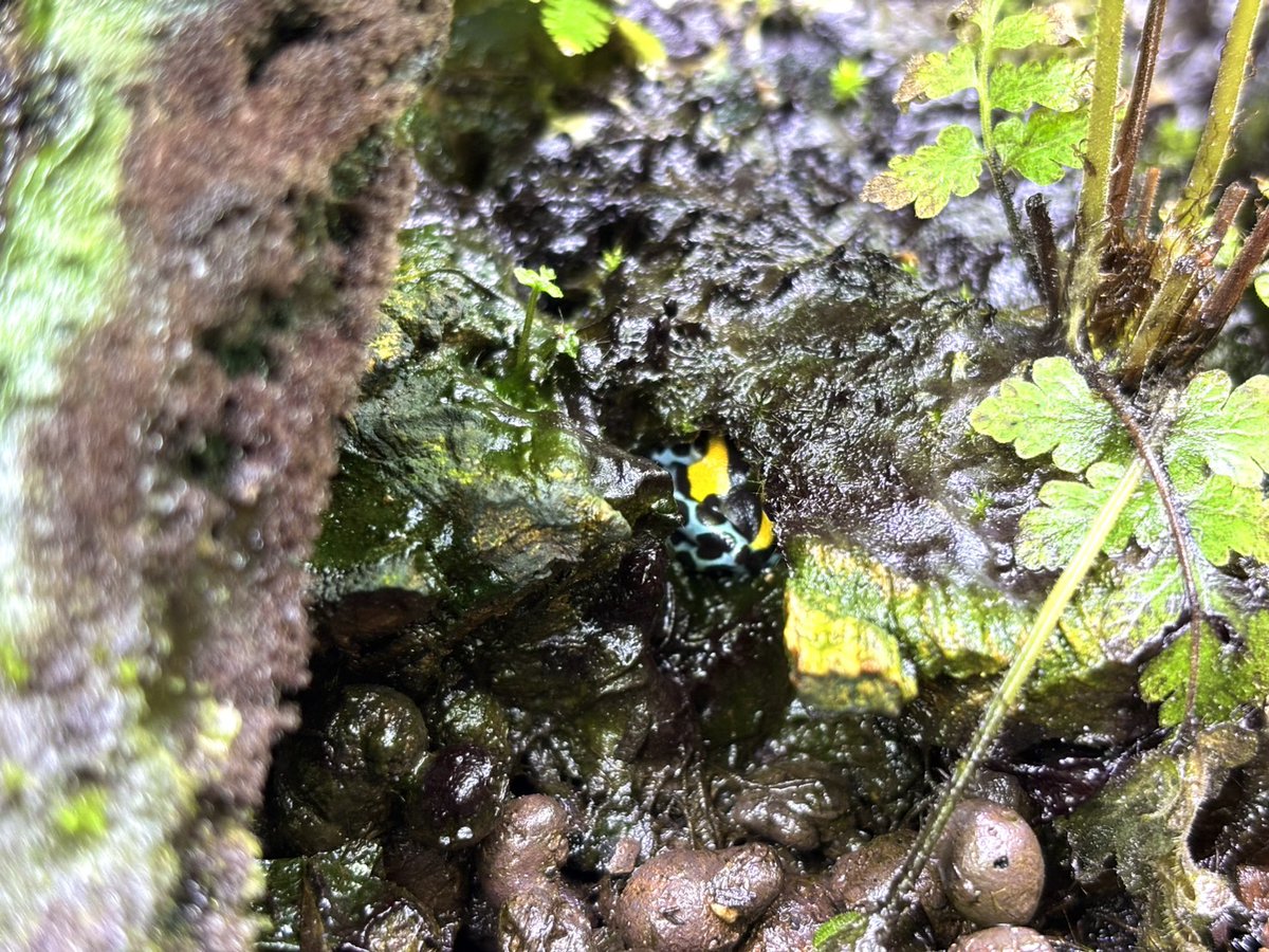 CANDLE 横浜店 tweet media