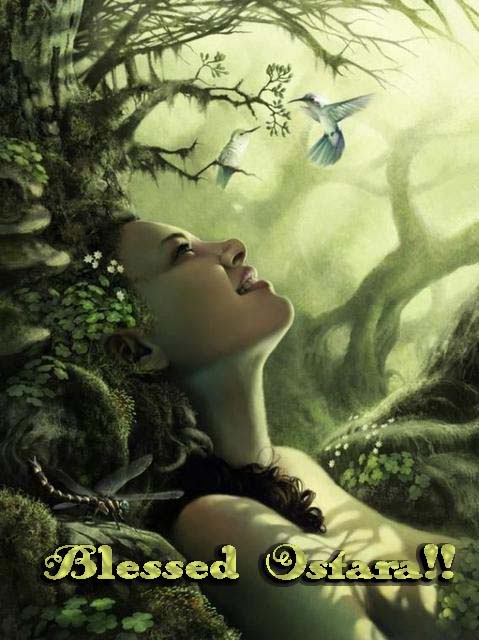 😇Sue 🔮⭐🕊 tweet media