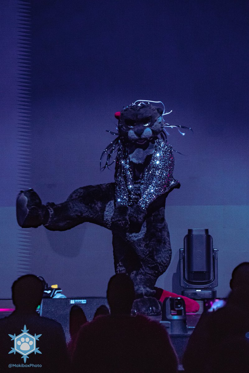 👑 That Otter Dancer⭐️ tweet media