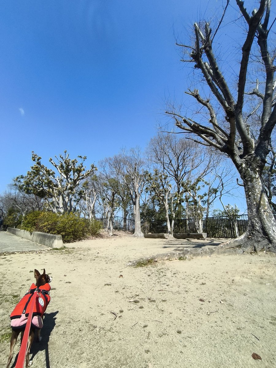 Luanacoco tweet media