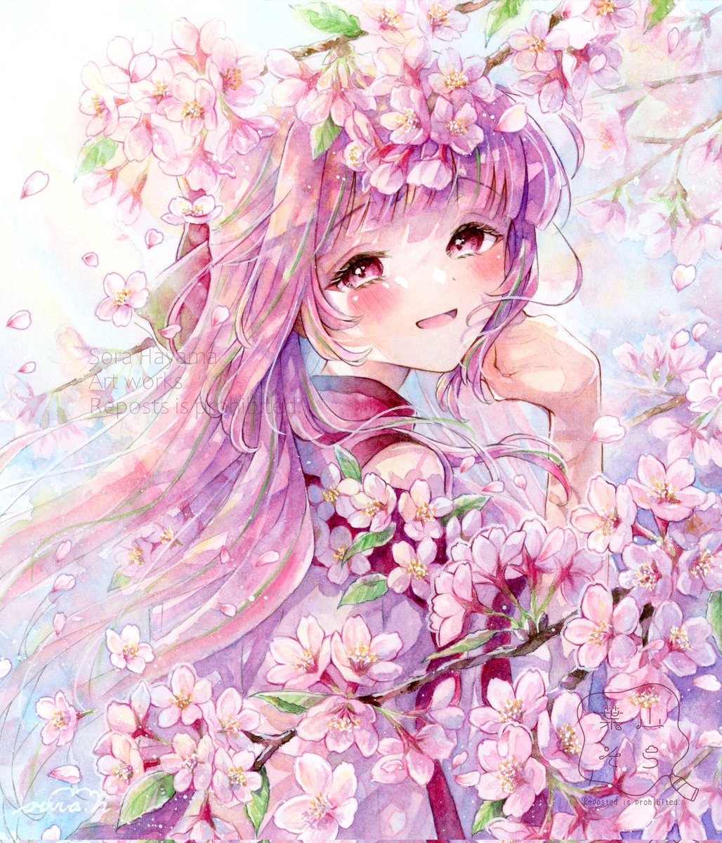 葉山そら☁*°@4/18～25 Flower×Flower展4(大阪) tweet media