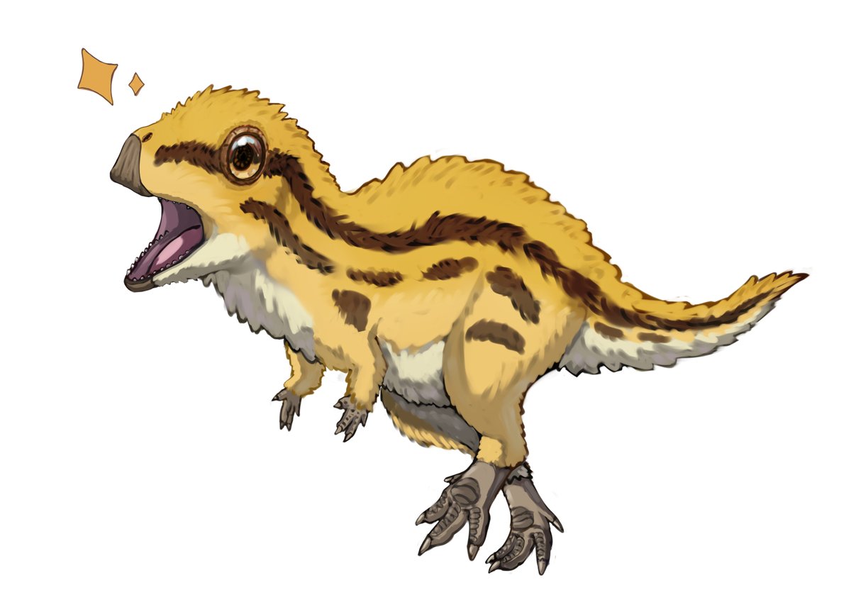 丸狐(maru_Ko) tweet media