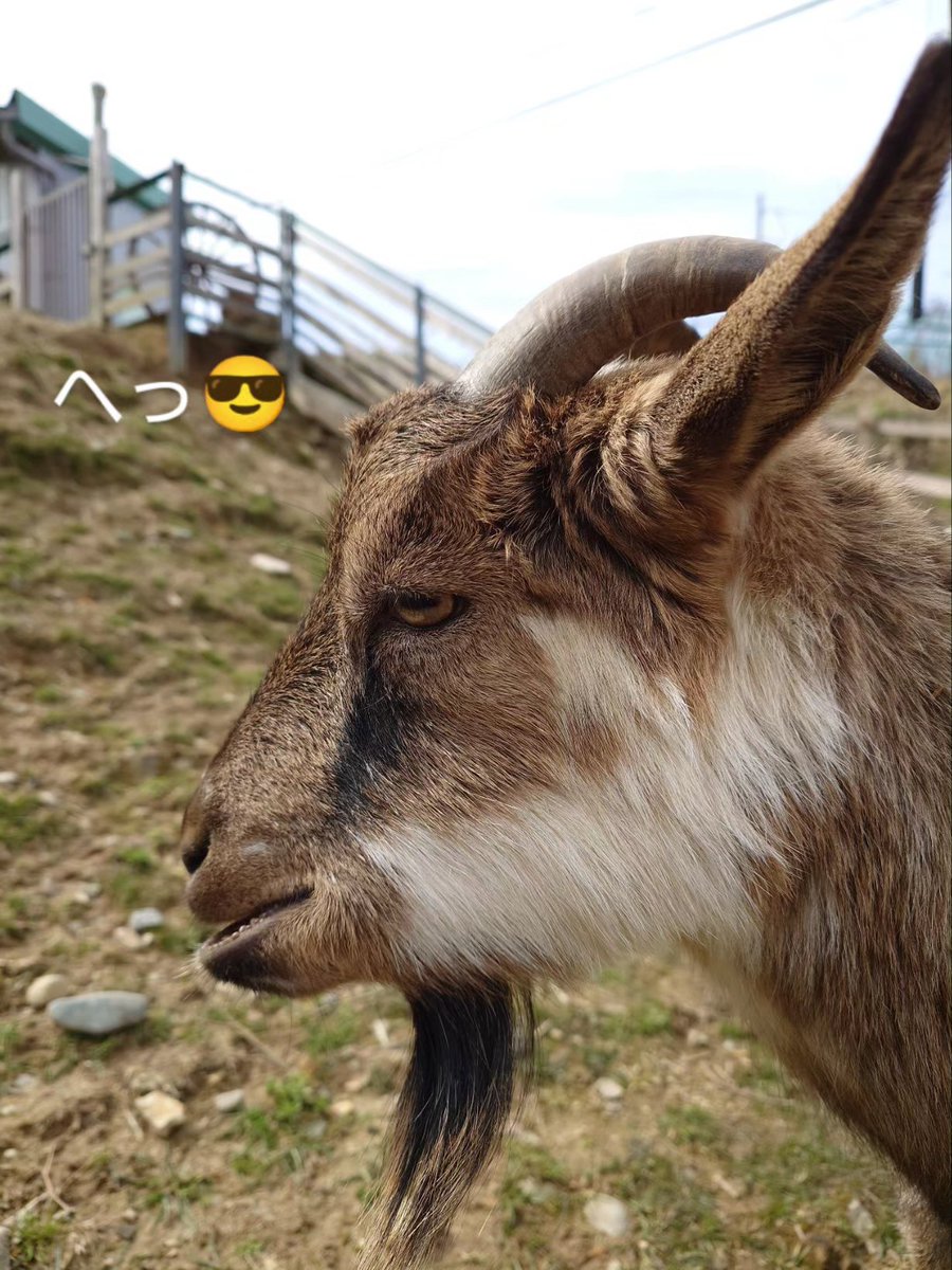 ちょいワルれお🤭