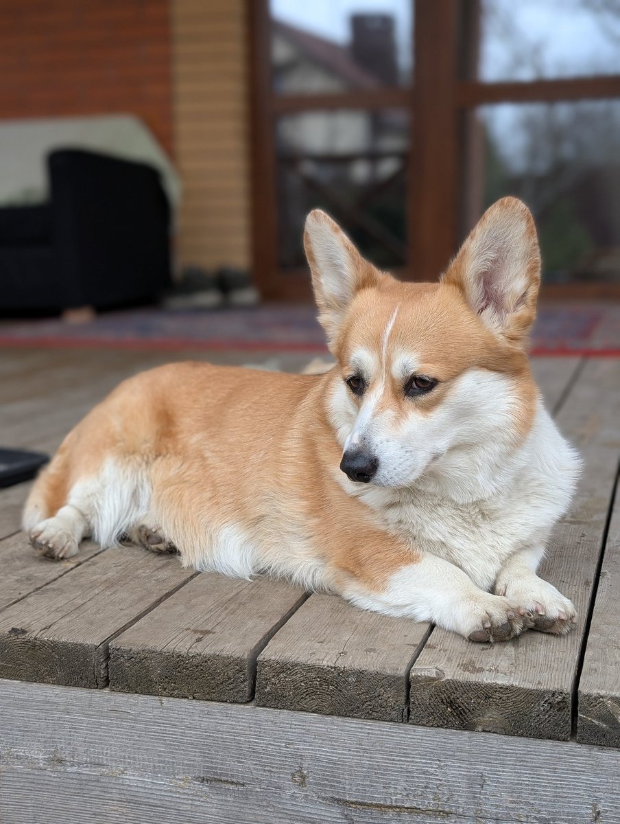 Not_Jesus tweet media