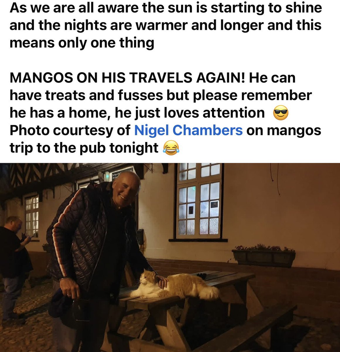 shroppiemon tweet media