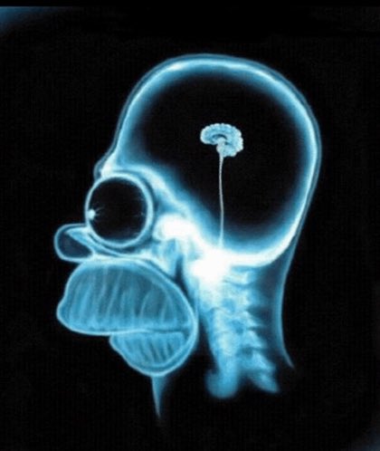 evilpenis tweet media