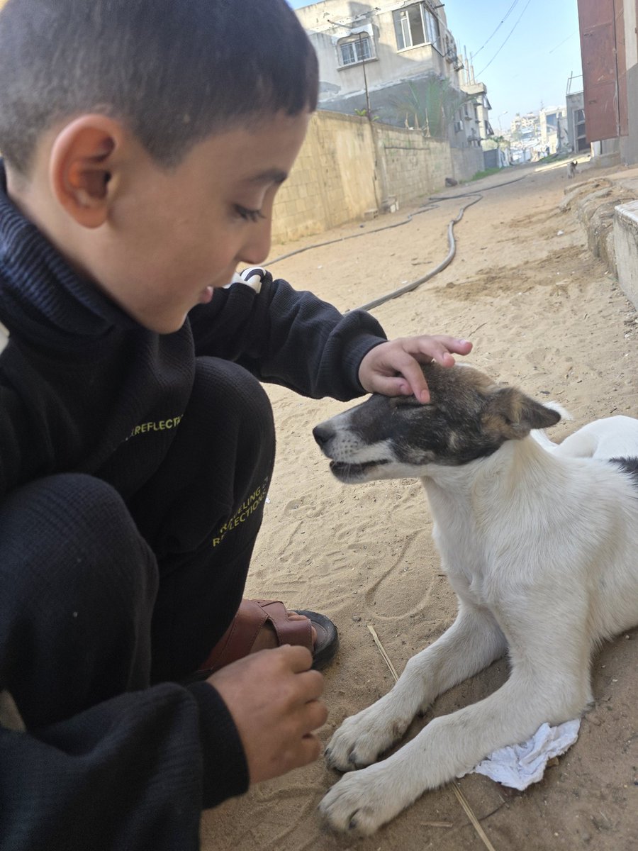 ♥️🇵🇸🇵🇸❤️A lover ♥️of homeless cats😻❤️🌱🌱👍🤗 tweet media