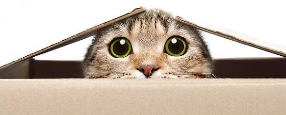 Greg Bagwell tweet media