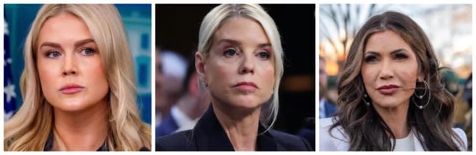 Bigwave 2.0 tweet media