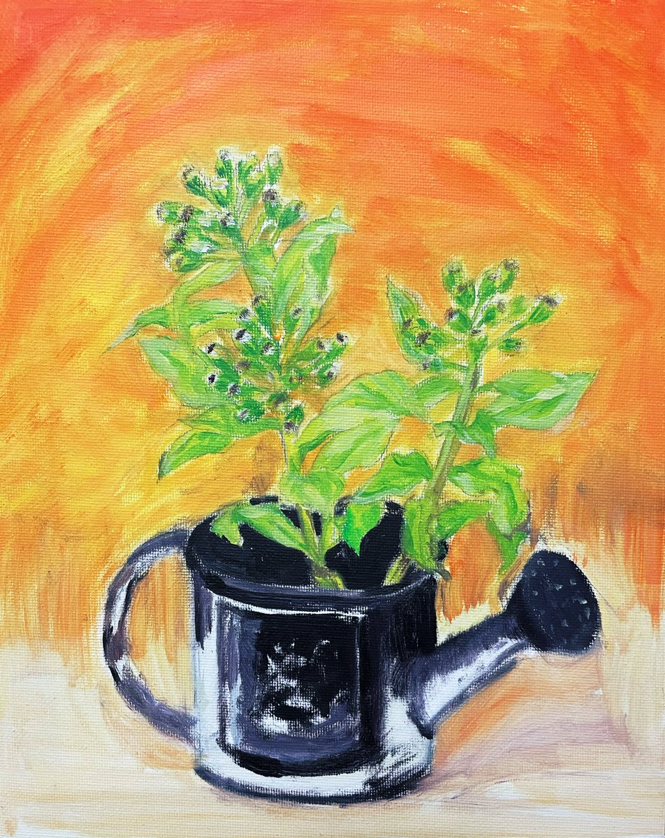 rururu_1523's tweet image. 絵画教室。水彩フキノトウの次の週に描いた油彩フキノトウです。
拙いですが、先生に背景など褒めていただけて嬉しかった。
水彩は直感的に描けていいなと思っていたけど、無心になって描ける油彩も大好きだと実感した日でした。
#oilpaint #油彩 #art