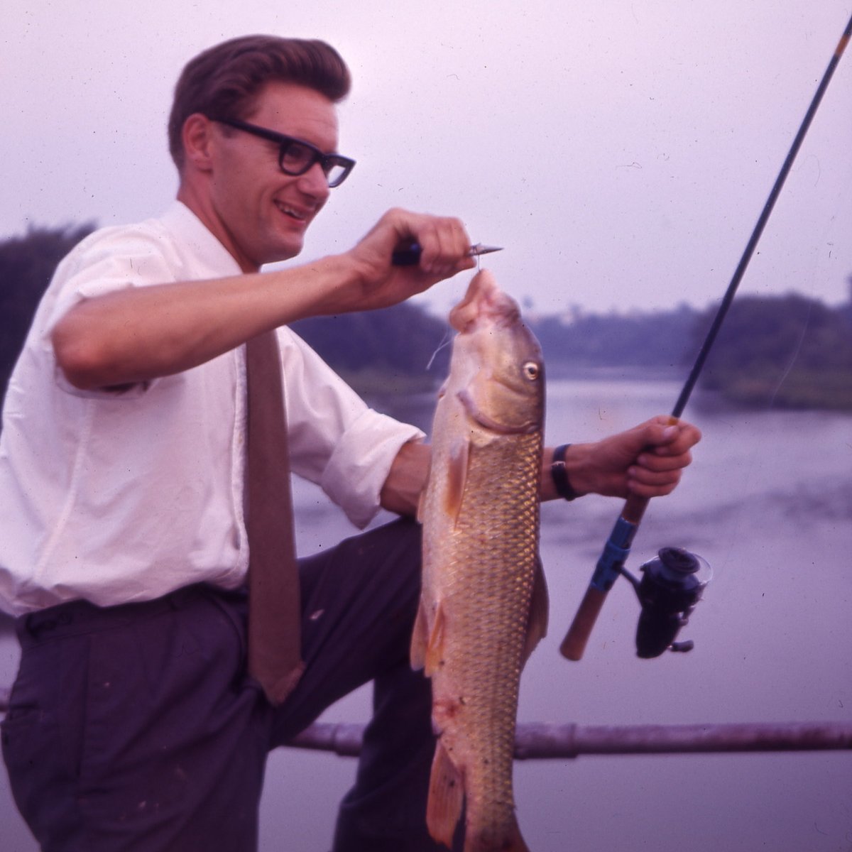 Greg Hands tweet media