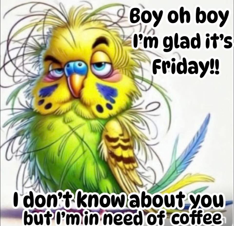 CraigSearle1's tweet photo. Good morning everyone, wishing all of you a fantastic Friday 😊☕️ https://t.co/eBoKRA4Zll