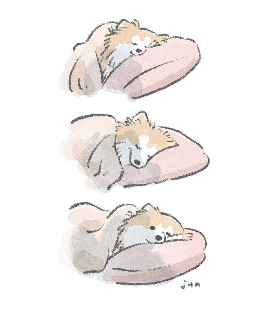 じゅん tweet media