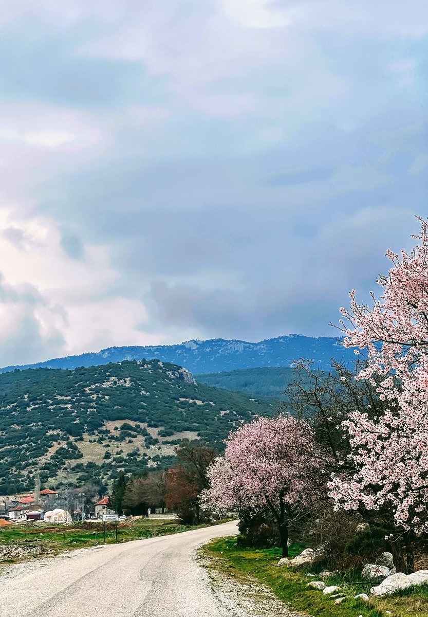 MAH -ANA tweet media