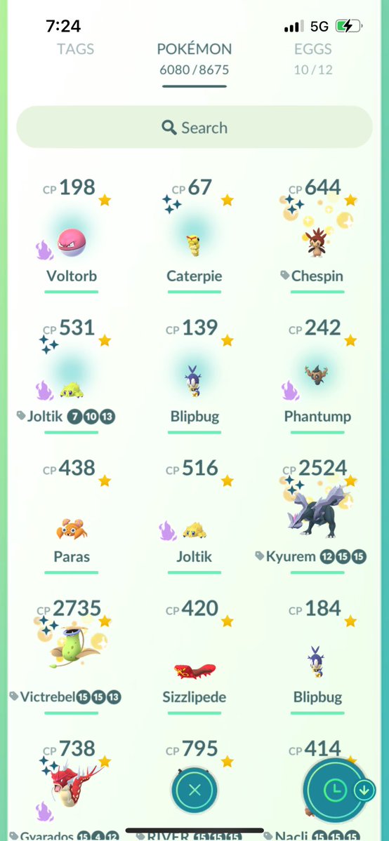 Shiny_KingT tweet media