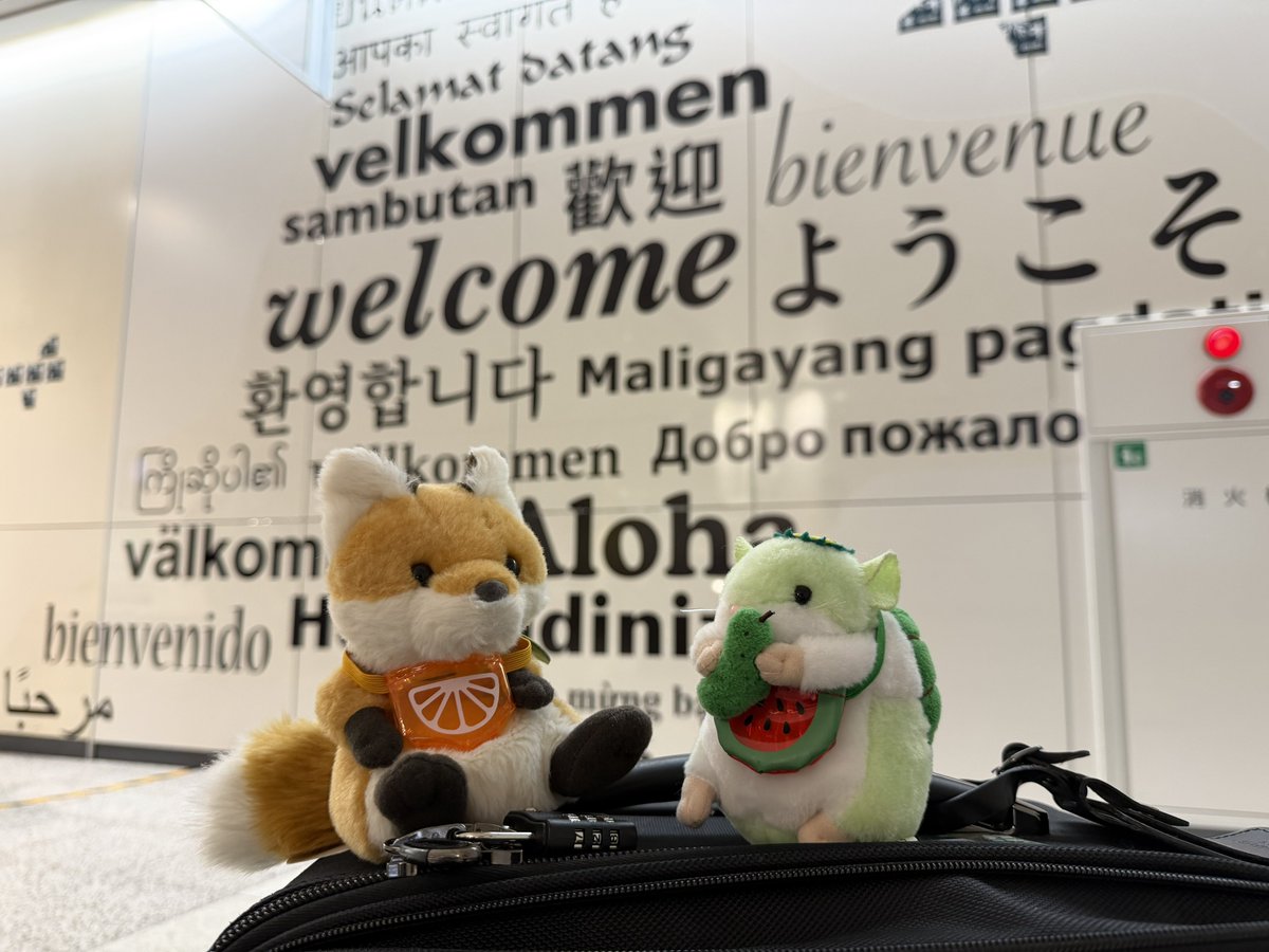 狐九/うらこや tweet media