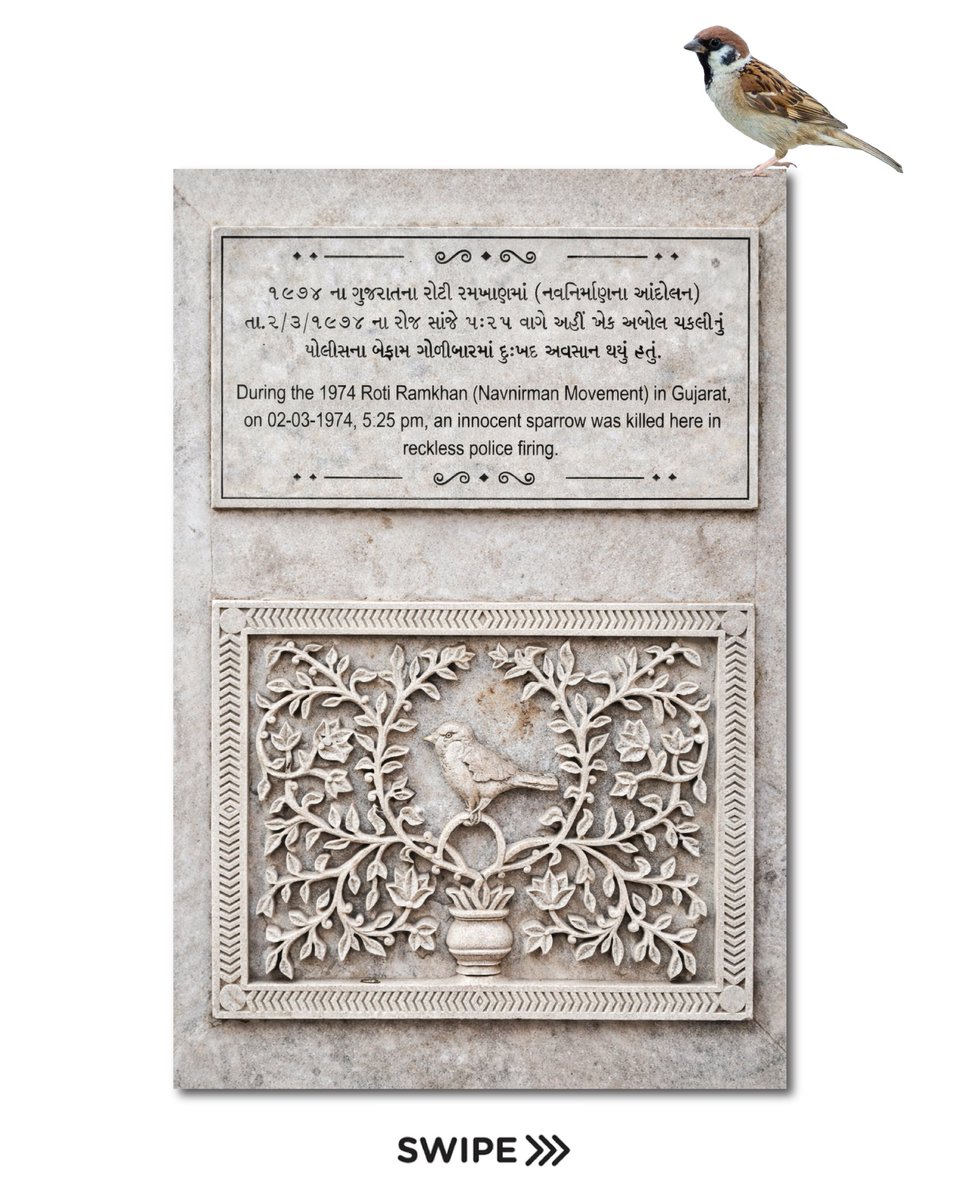 #worldsparrowday
#envirnment