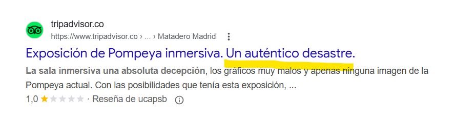 Jessica Fillol 🐾🏍💨 tweet media