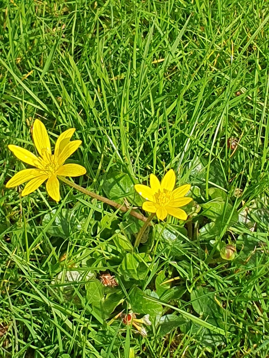 Gloriagaynor tweet media