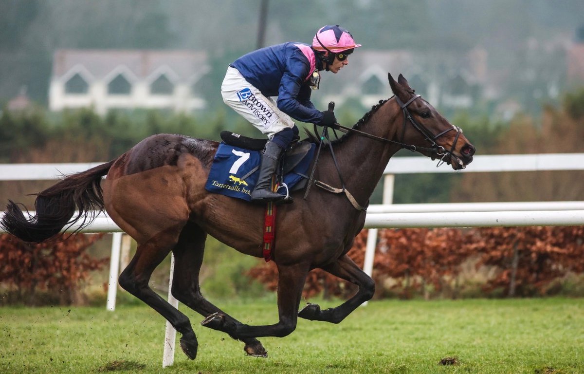 Racing Tips tweet media