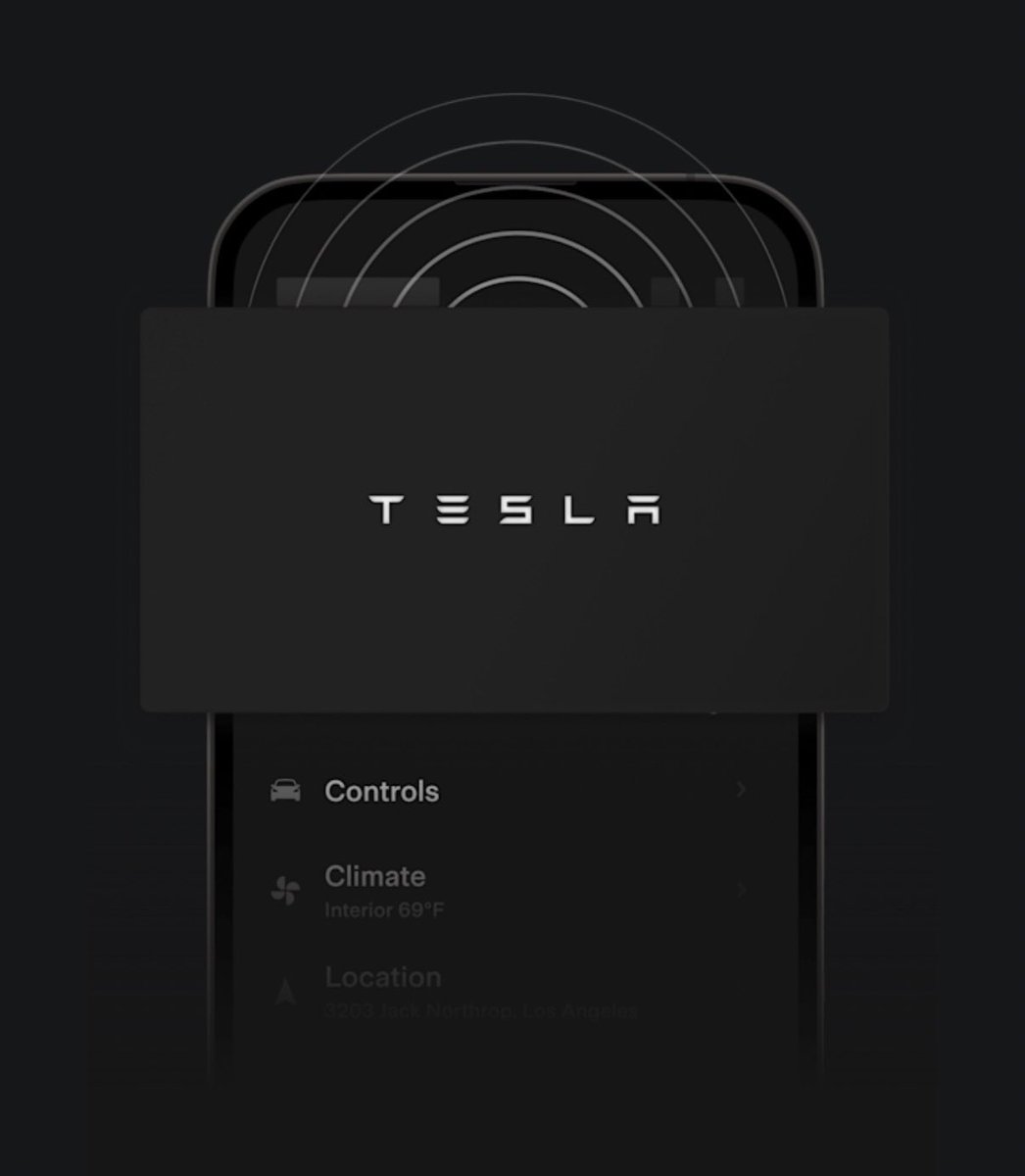 Tobi Mülhauser 🍕 tweet media