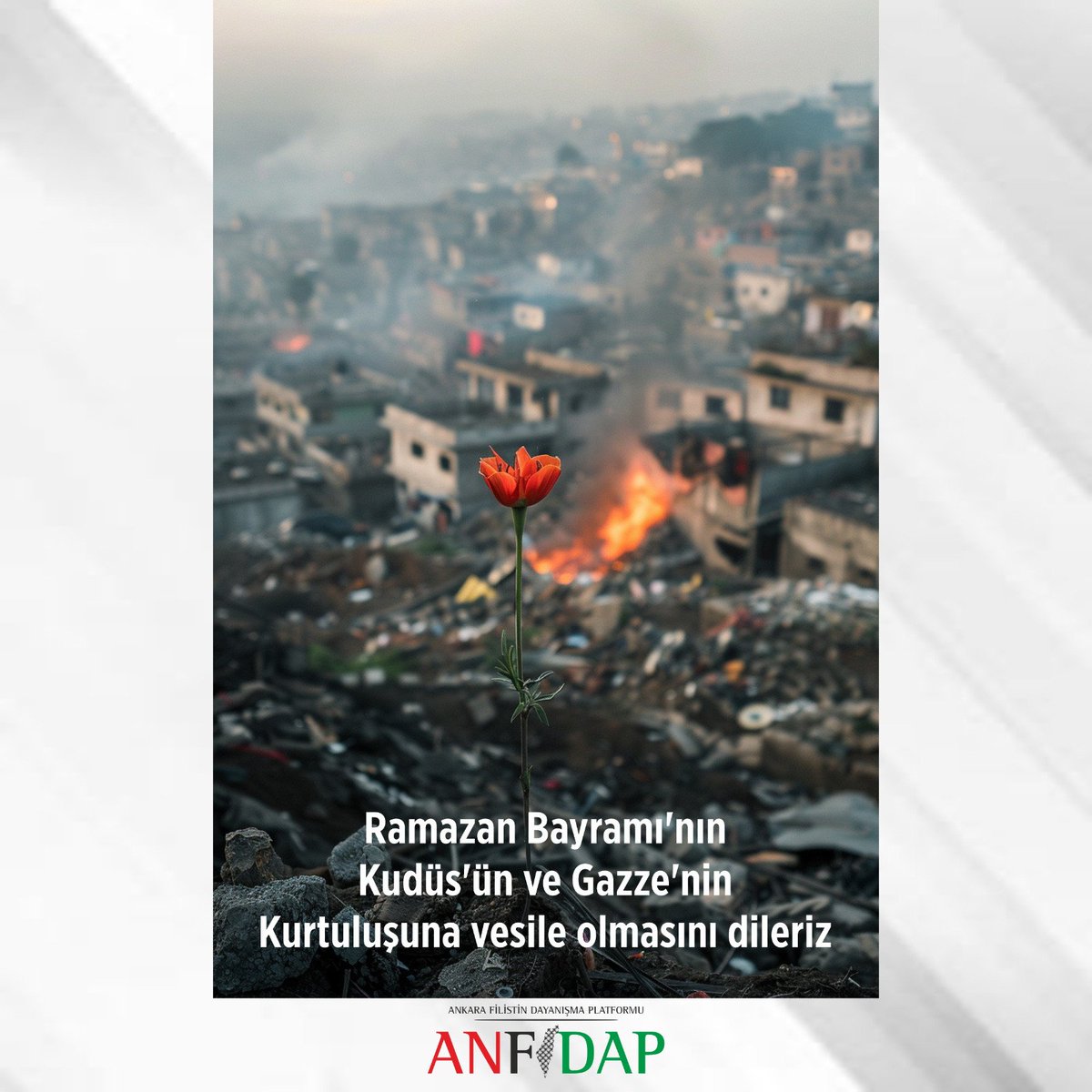 Ankara Filistin Dayanışma Platformu tweet media