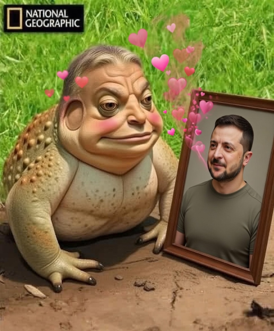 Camontea Soy ❤️🇺🇦🌻💪🏼🇪🇸🇲🇽 tweet media