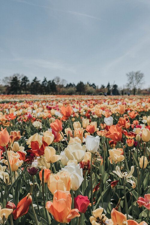 ∆Ꙇҽχ ∆ɳɗҽrssσɳ tweet media