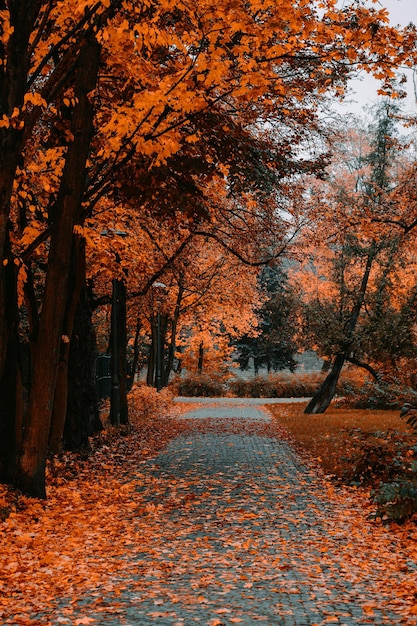 ∆Ꙇҽχ ∆ɳɗҽrssσɳ tweet media